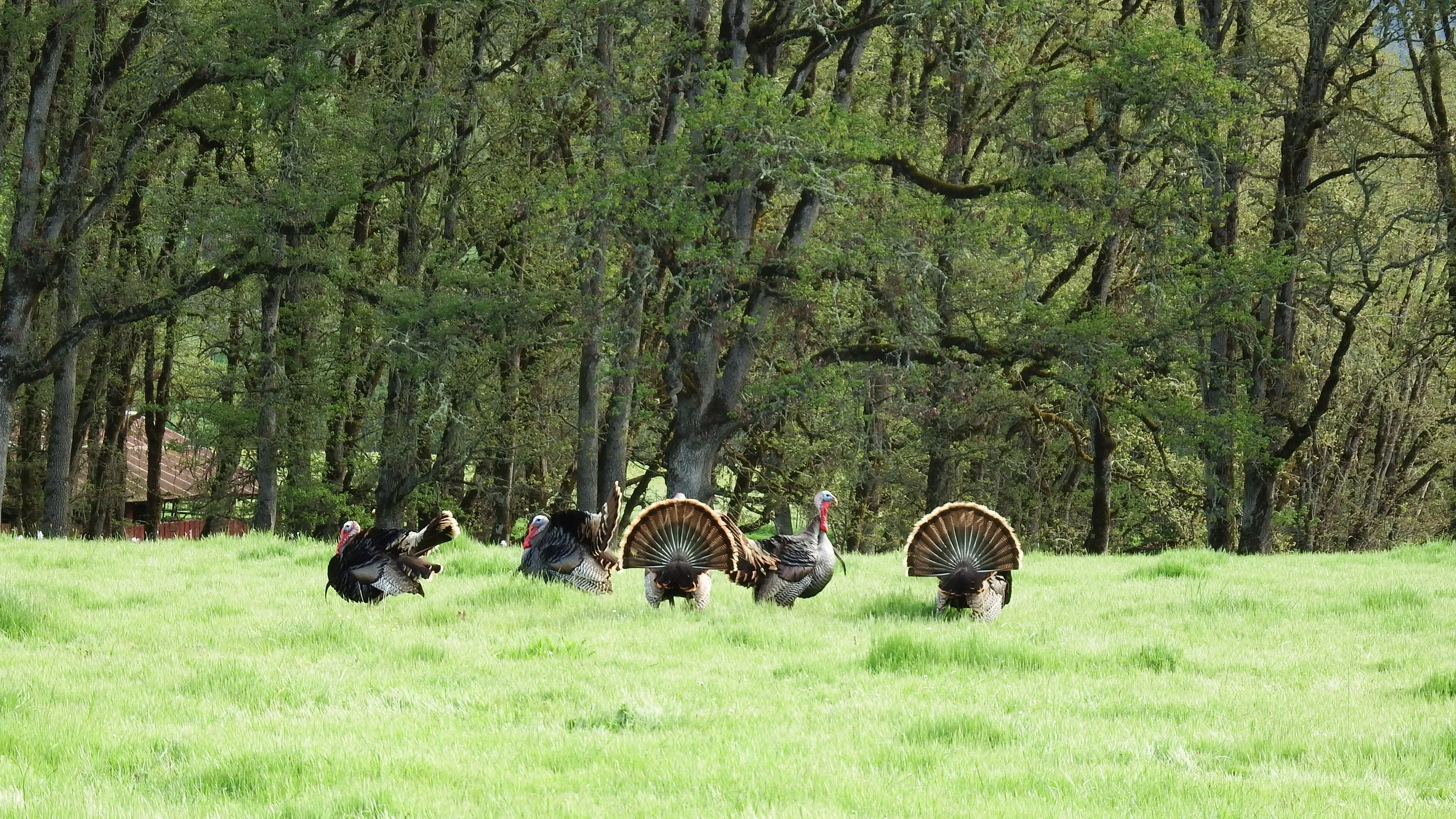 DSCF4605.JPG