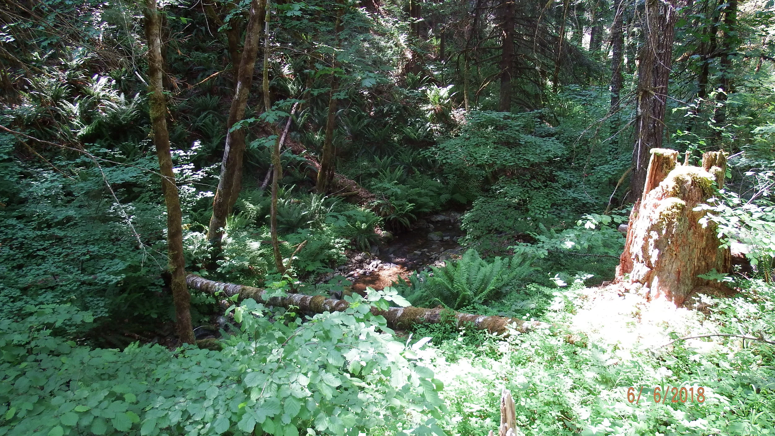 DSCF5816.JPG