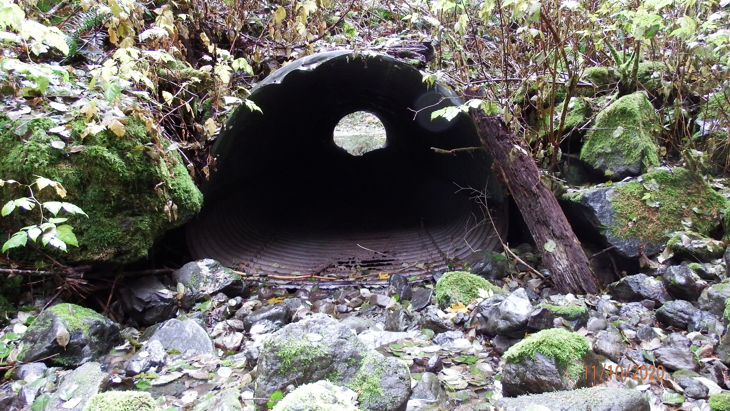 Walker Culvert PreProj Inlet.JPG