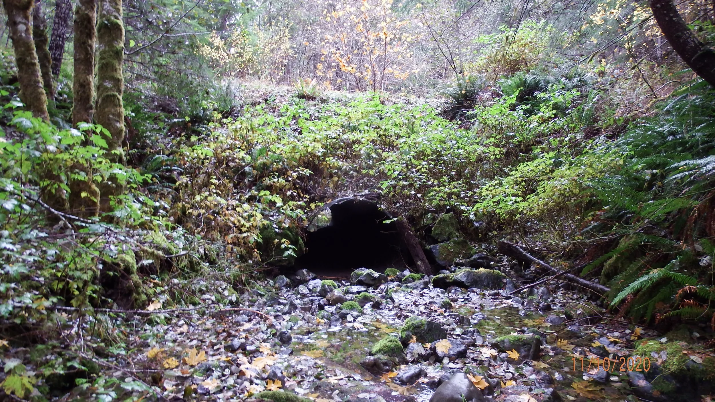 Walker Culvert PreProj Undersized-Inlet.JPG
