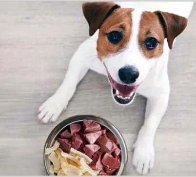 Raw Lamb Kidneys for Pets