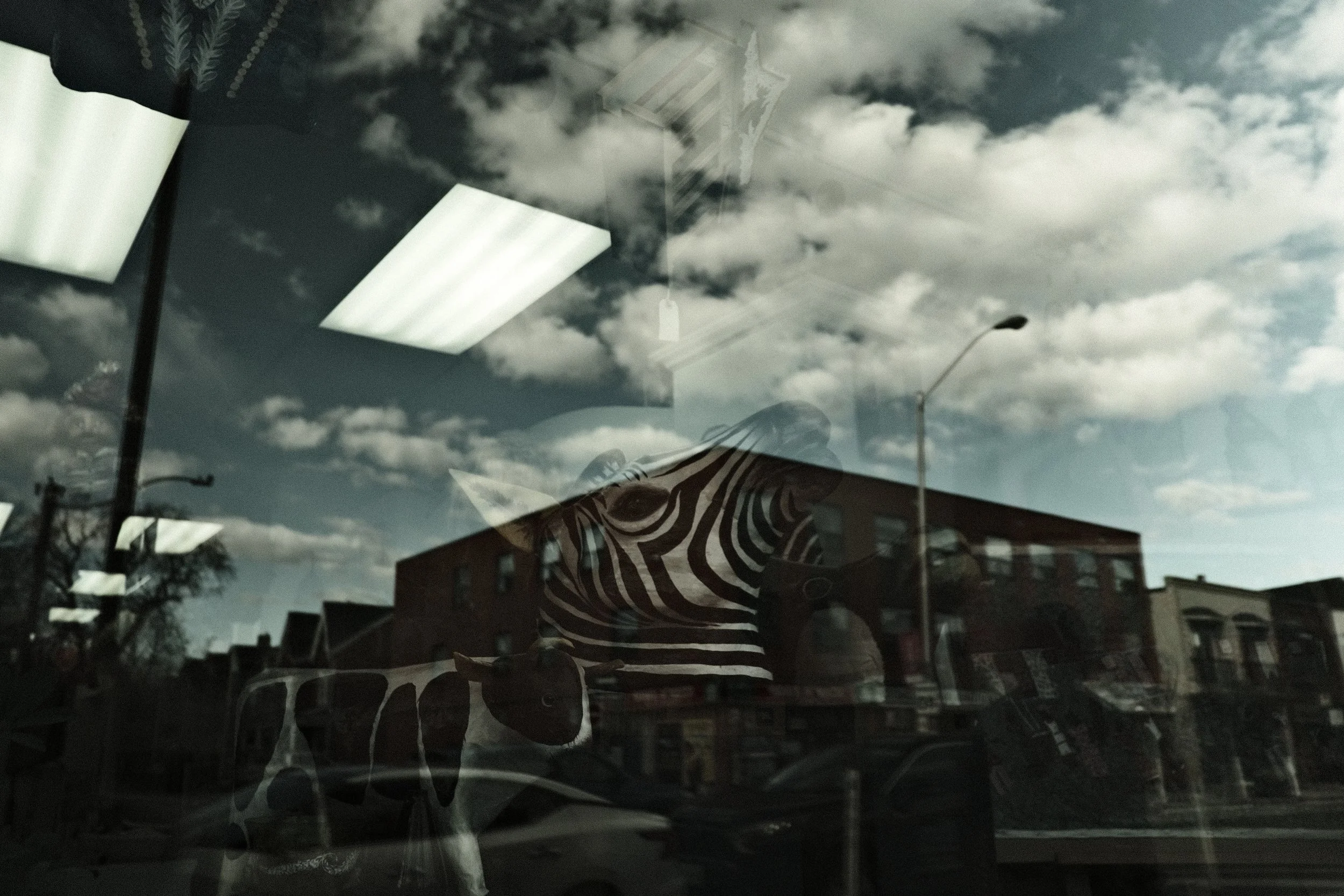 DSCF5665.JPG
