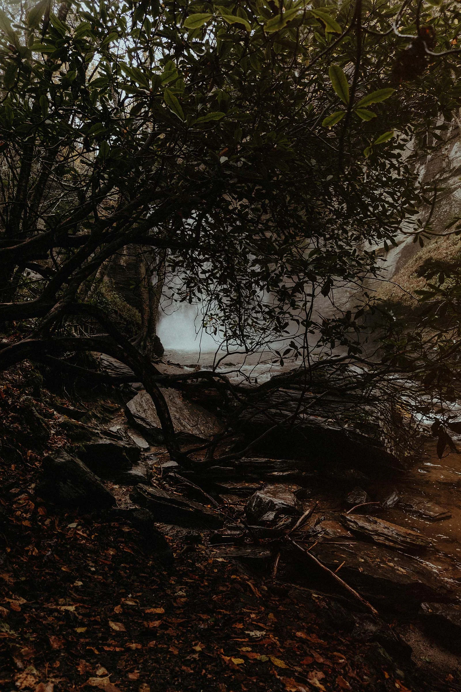BlueRidge-fog.jpg