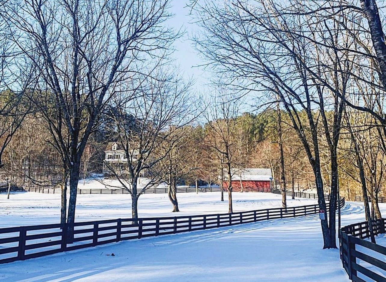 A dreamy view to wake up to at The Big Blue House&hellip;

#thebigbluehouse #leipersfork #franklintn #snowday #winterwonderland