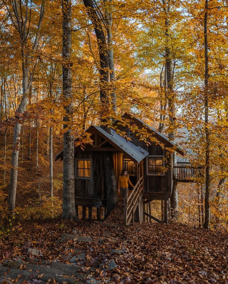Welcome to the Center Hill Cabins, a lakefront retreat created to help you rest, reflect and reconnect! 

Enjoy unforgettable moments, and unique experiences that await in our tranquil haven! Visit the barn animals in your own private petting zoo. Ch