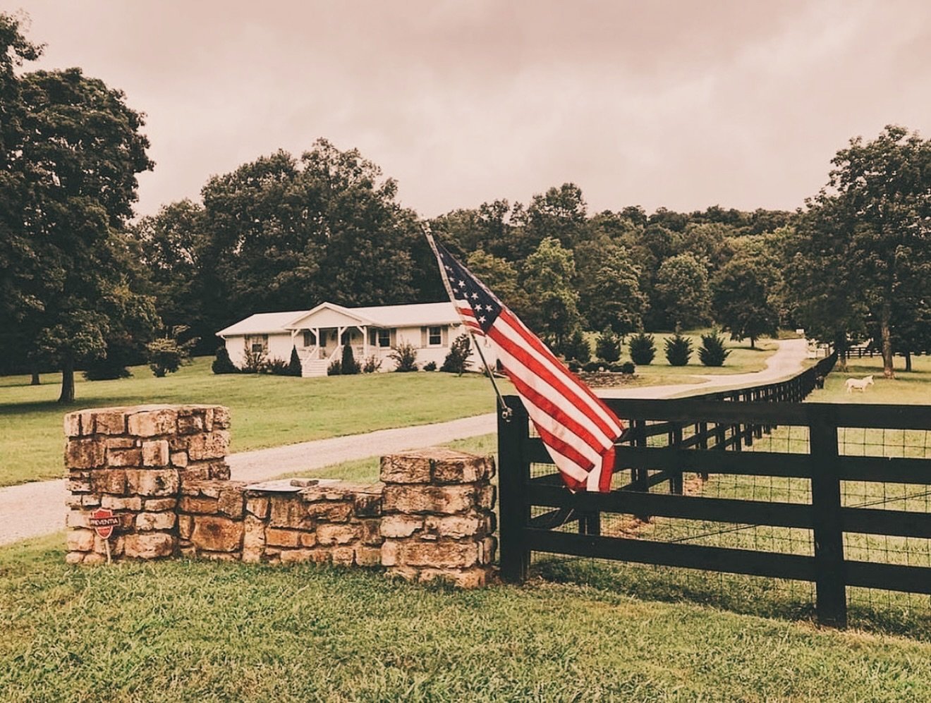At Cozy Cottage, you can spend your mornings visiting the friendly goats and mini donkeys, your evenings gathered around the backyard firepit on benches built from wood harvested right here on the property, and your afternoons napping on the covered 
