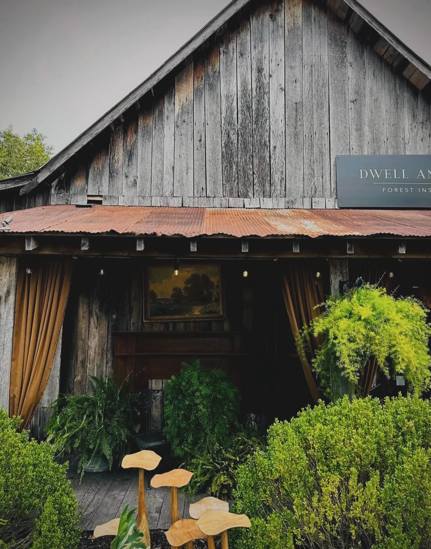 A quiet little gem in Leiper&rsquo;s Fork, Dwell and Den is forest-inspired, thoughtfully curated, and full of beautiful things that feel meant to be found, not rushed. Slow down, wander, linger.

#LeipersFork #ShopSmall #CuratedLiving #TennesseeFind