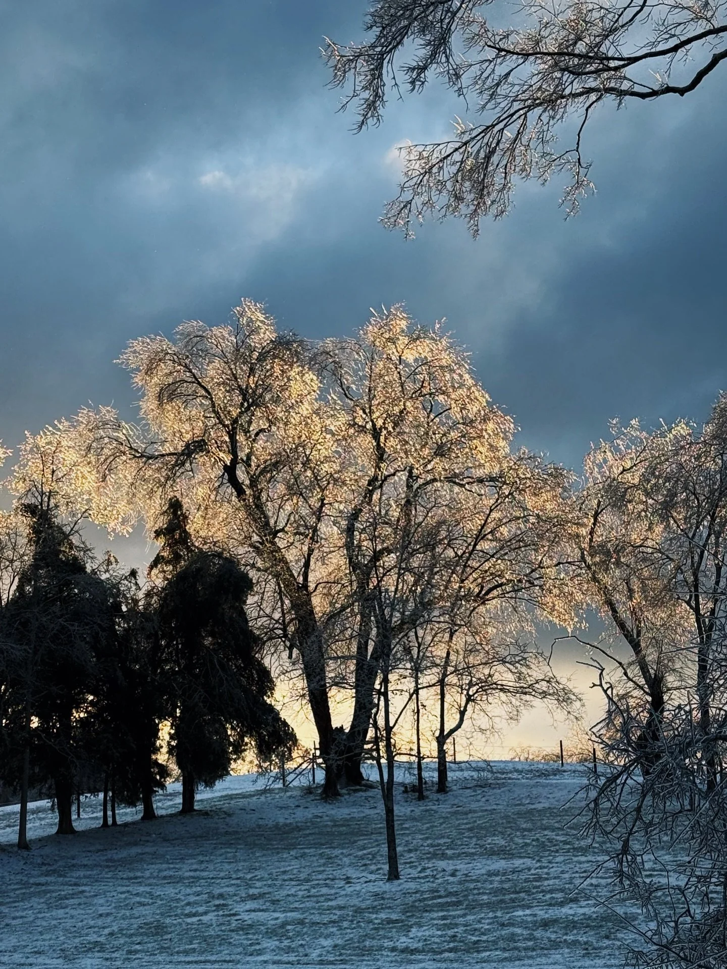 Silver linings.

The sun catching the ice just right, turning every tree into something almost unreal&hellip; quiet, glowing, breathtaking. And still&hellip; the reality is heavy. We&rsquo;re in Middle Tennessee, where thousands are without power, te