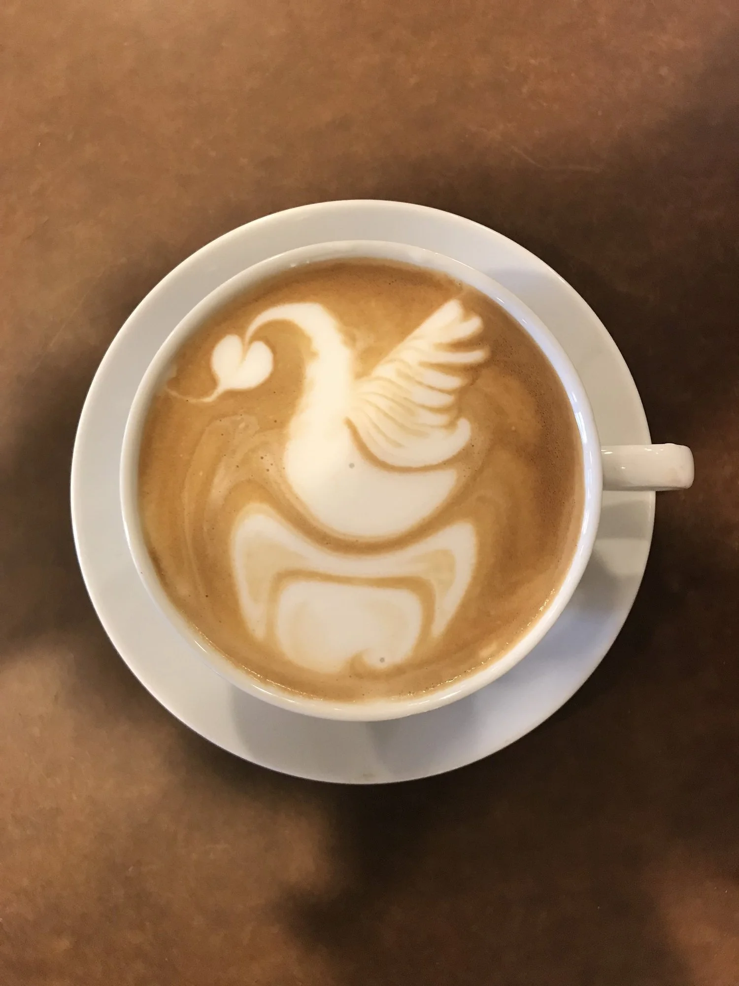 IMG_2709+Coffee-Swan.jpg