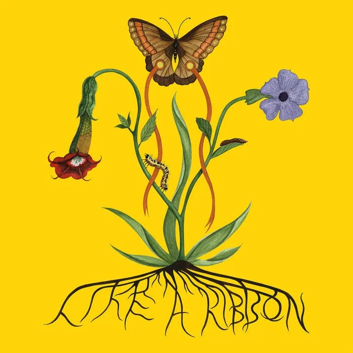 Portada del disco Like a Ribbon de John Glacier.