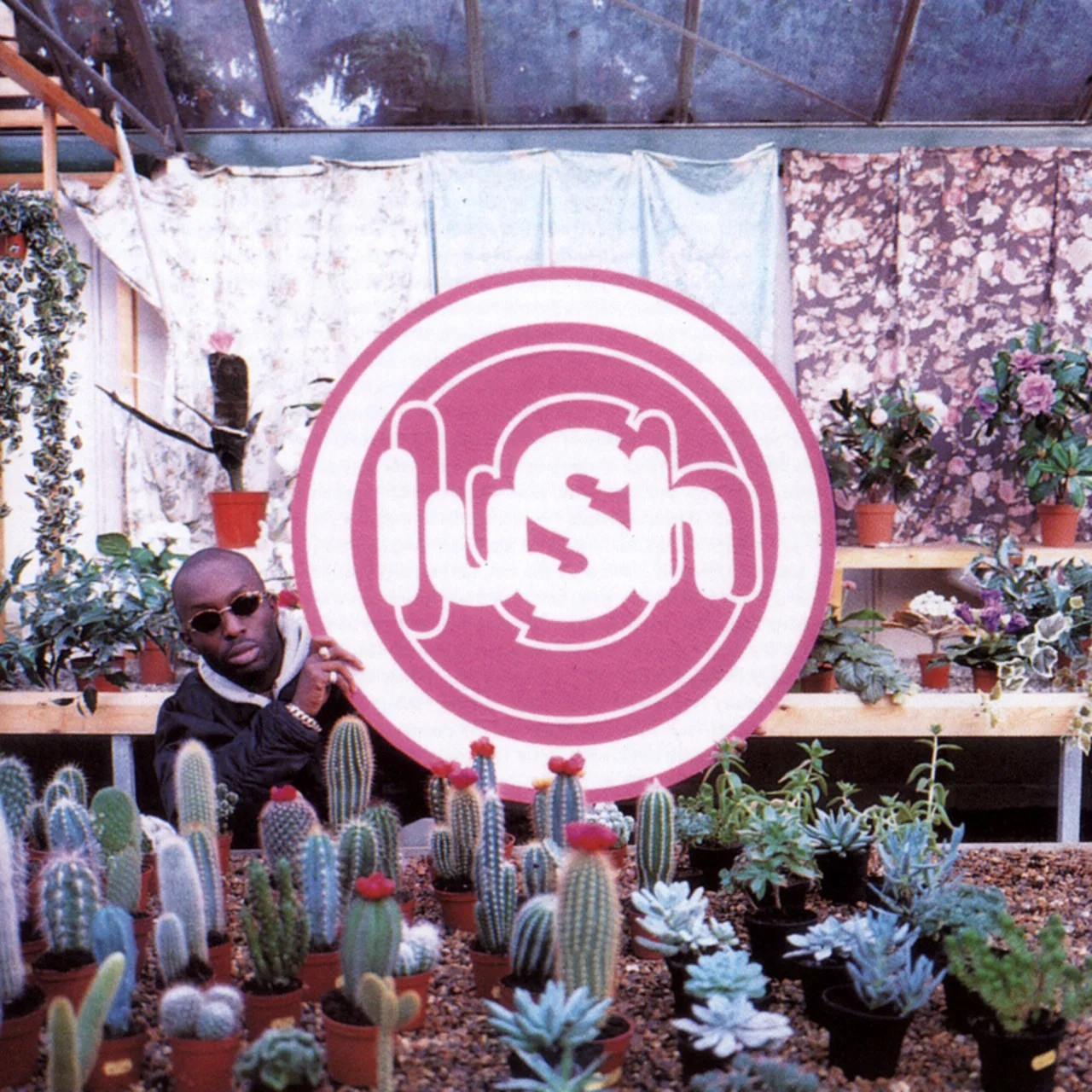lush_lovelife.jpg