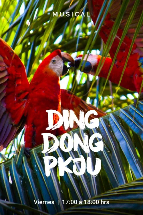 15POSTER_DING_DONG.jpg