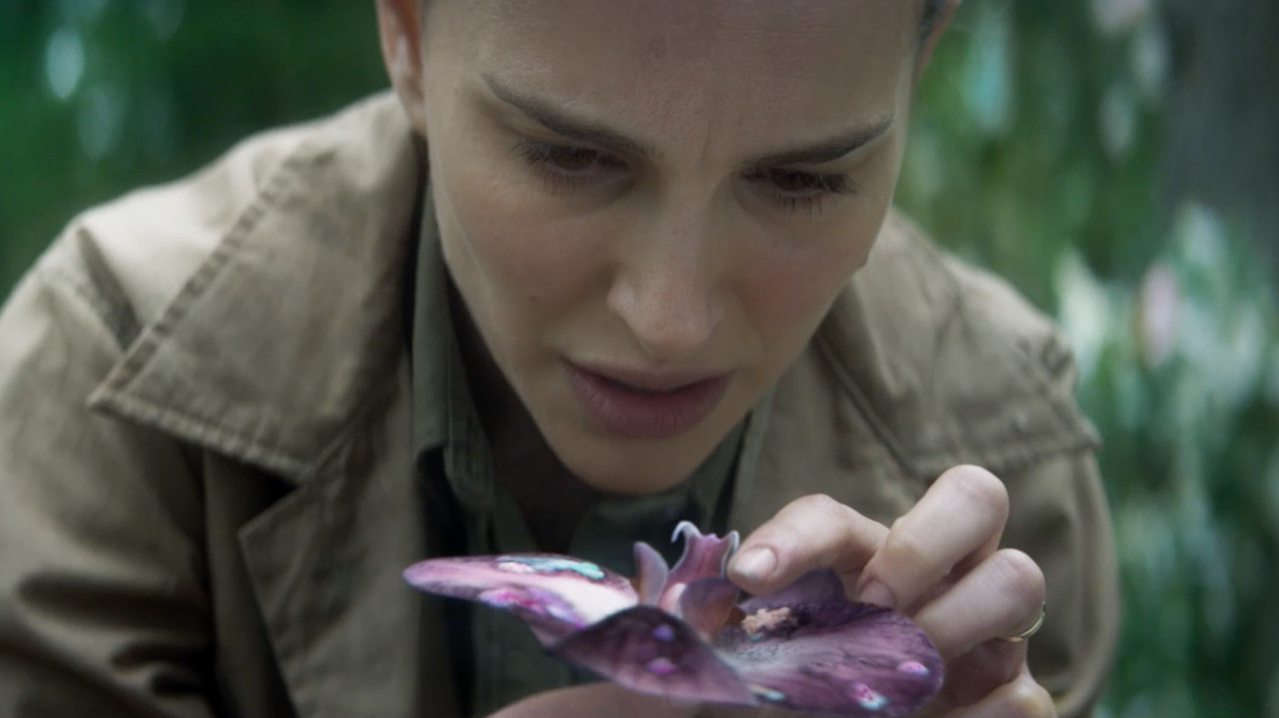 annihilation-anatomy1-superJumbo.png