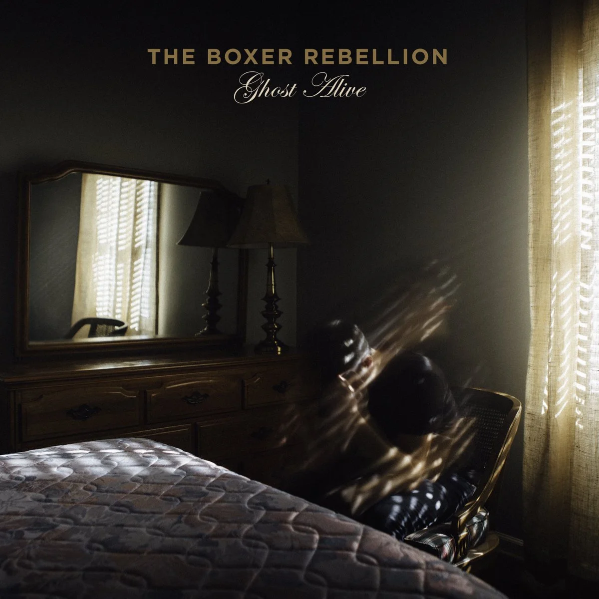Fotografía vía @boxerrebellion en Twitter
