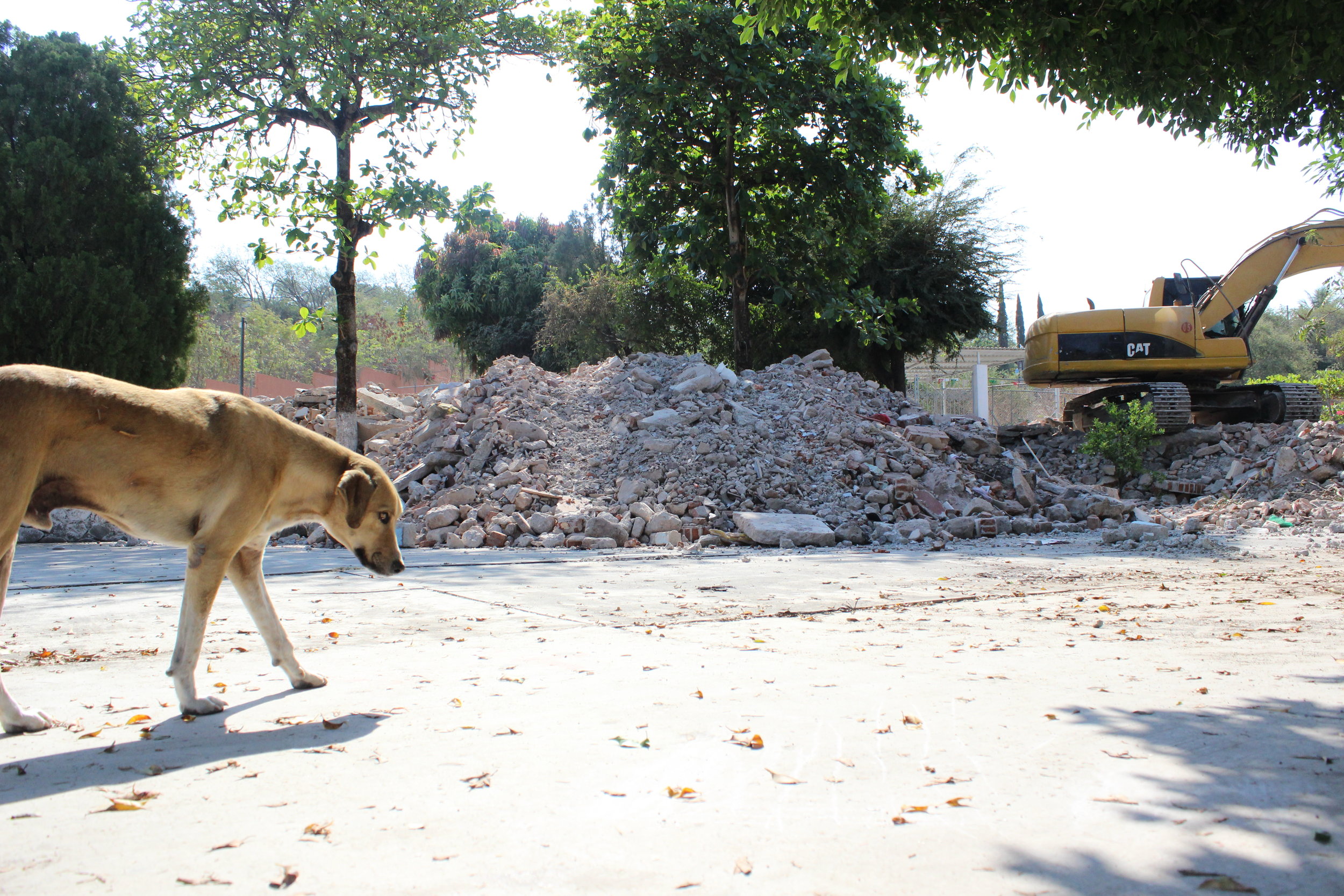 La Reconstrucción de la educación en Jojutla