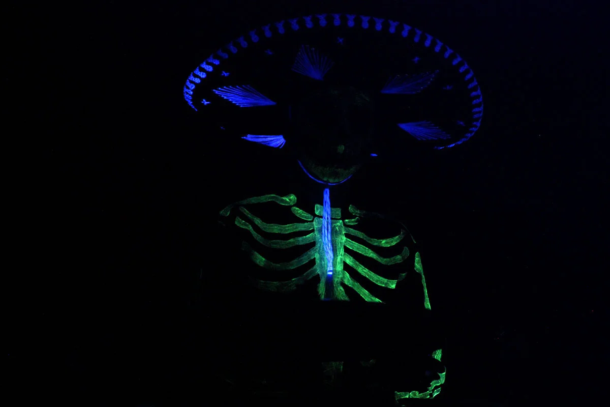 Como estar en familia. Wild O' Fest 3