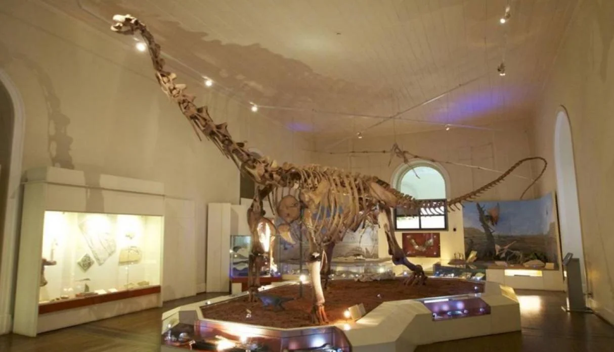 museo4.jpeg