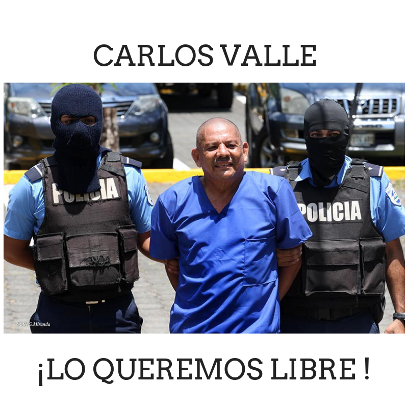 LibertadCarlosValle.png