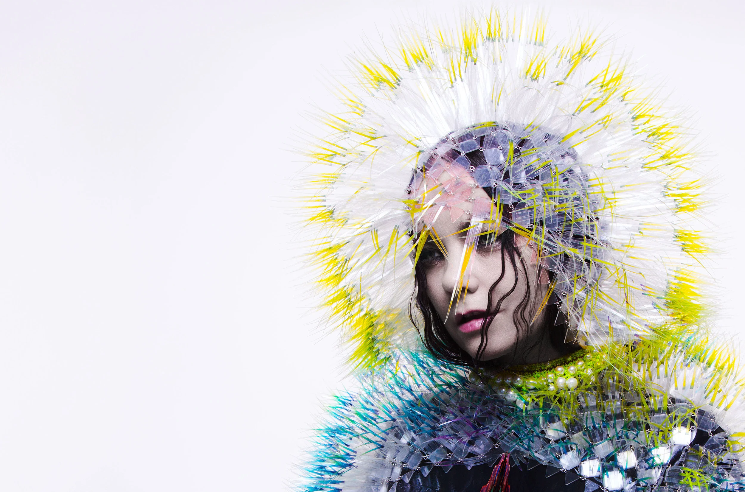 Björk by INEZ-AND-VINOODH .