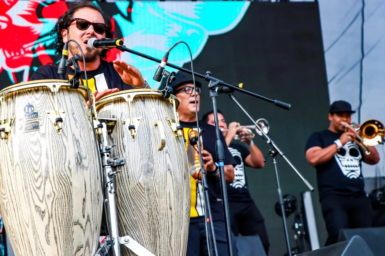 WhatsApp Image 2019-03-16 at 17.36.33.jpeg