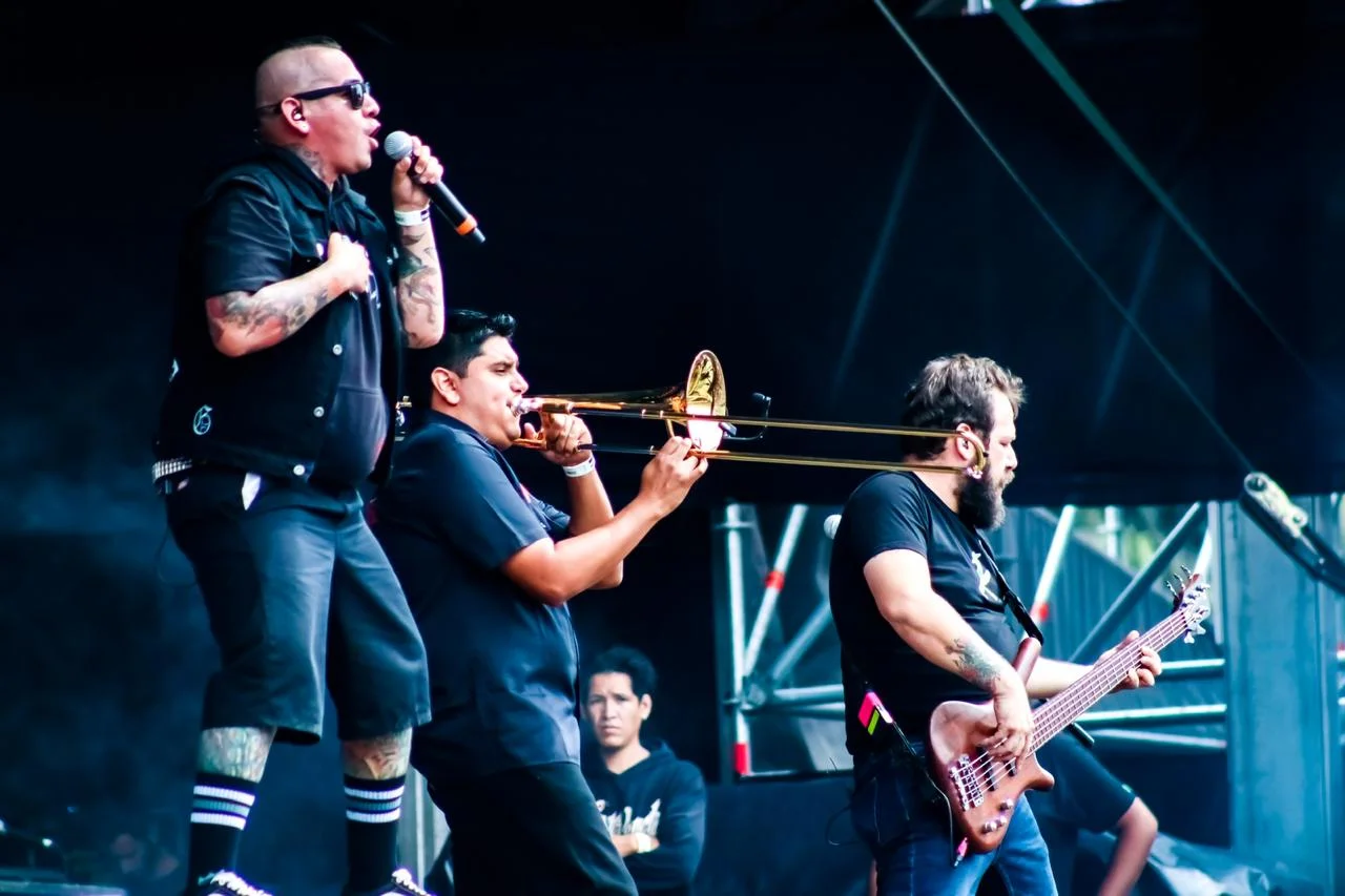 WhatsApp Image 2019-03-16 at 14.39.36.jpeg