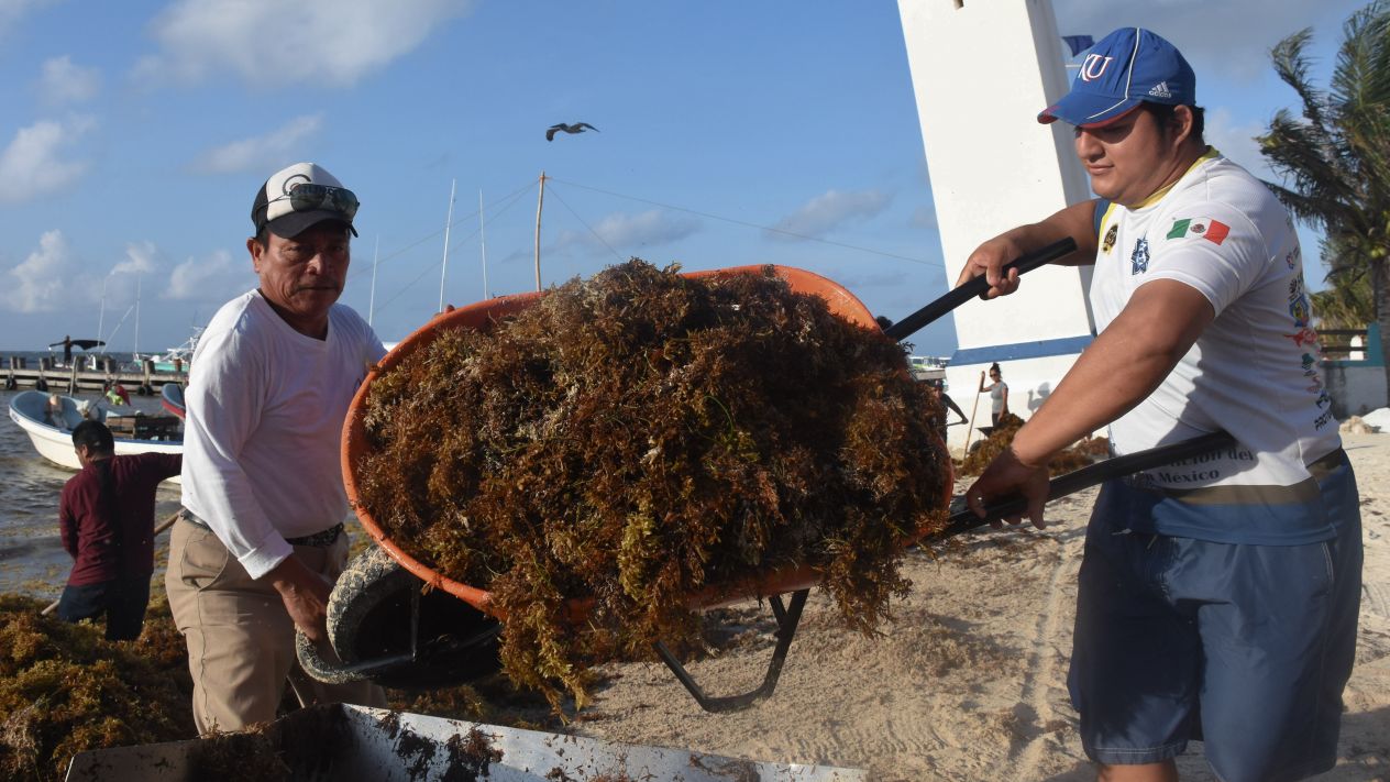 Imagen de “El Financiero”