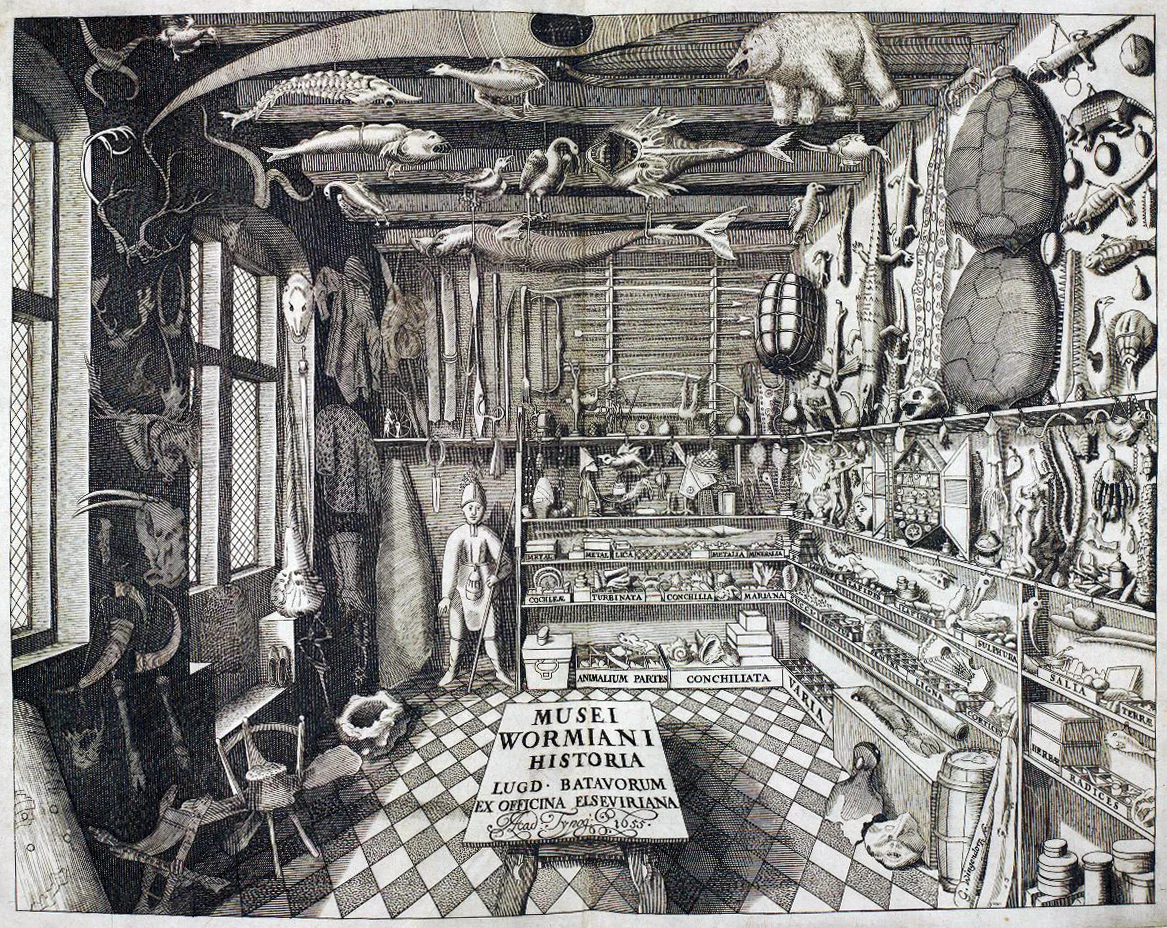 Los cuartos de curiosidades o gabinetes de maravillas como antecedentes del museo. Imagen vía Wikipedia
