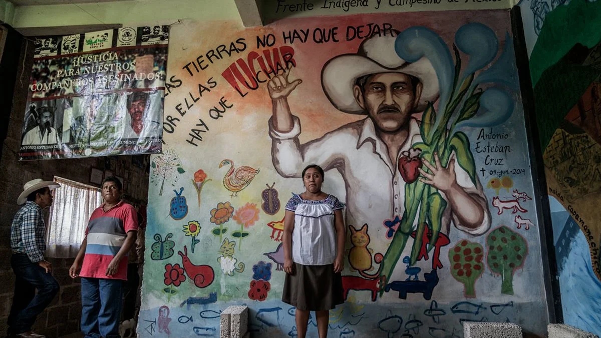 Imagen Vía Chiapas Support