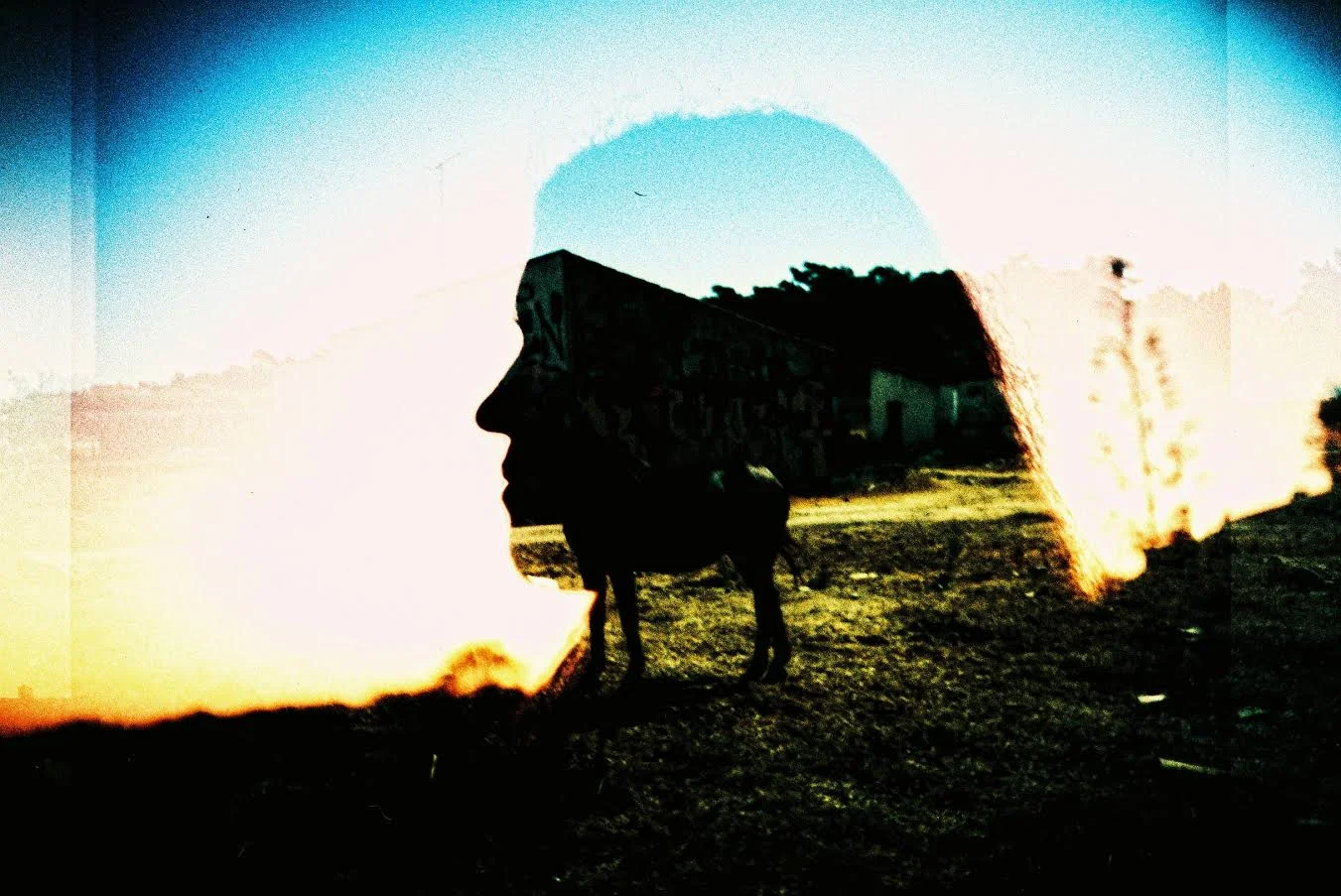 ¡No pienses, dispara!: Lo que no sabías de la fotografía lomográfica
