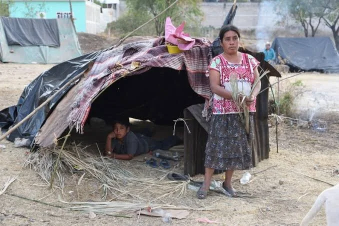 Desalojo sistemático en Chiapas: vulnerabilidad de los más desprotegidos