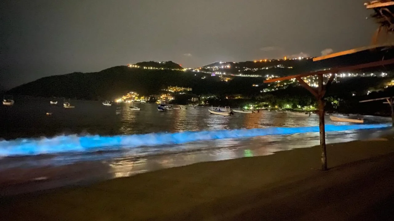 Puerto Marqués la noche del 20 de abril.