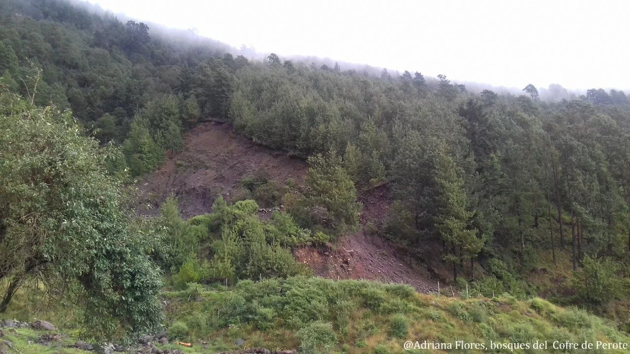 ¿Tiene sentido elegir entre respirar aire limpio o cargado de monóxido de carbono?: Día Mundial Del Medio Ambiente