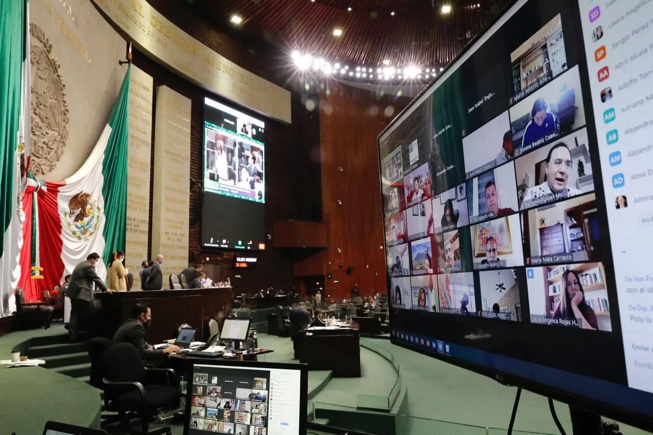 Foto: Cuartoscuro/Animal Político