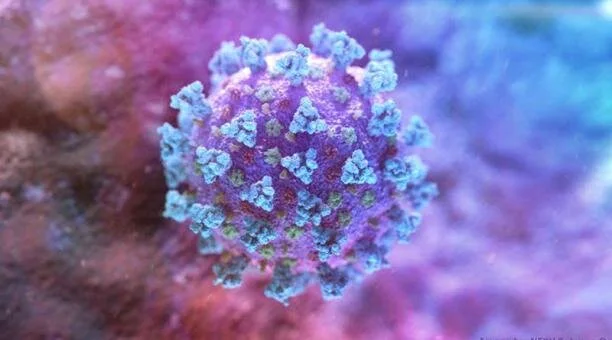 Imagen tomada de REUTERS.