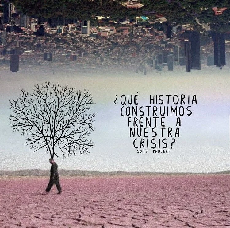 Ilustración por Sofía Probert