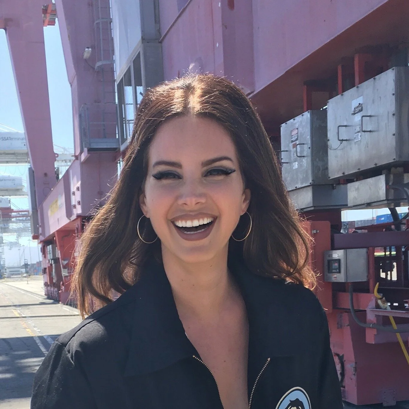 Lana del Rey. Foto: FB Lana del Rey