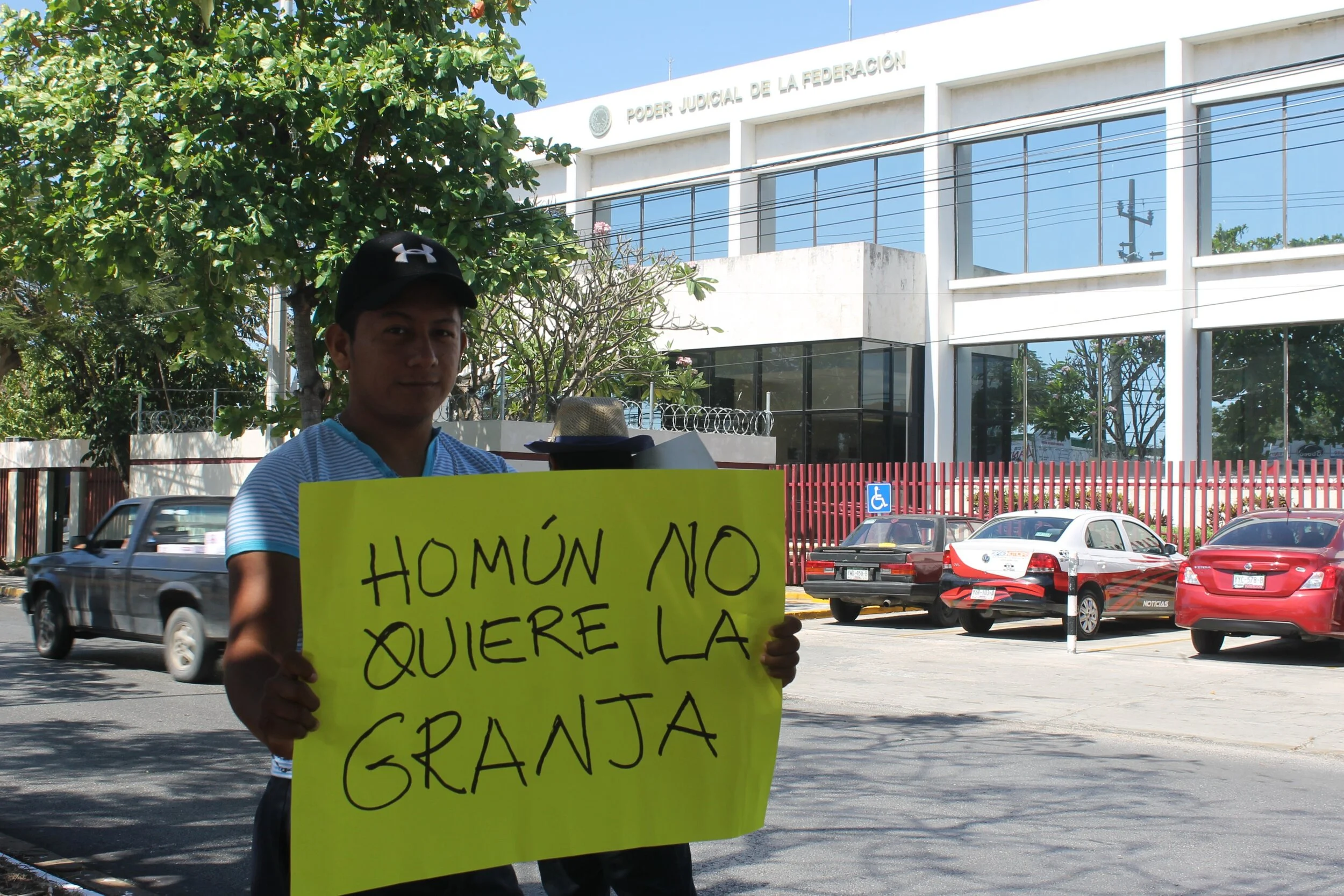 Los niños que salvaron los cenotes yucatecos