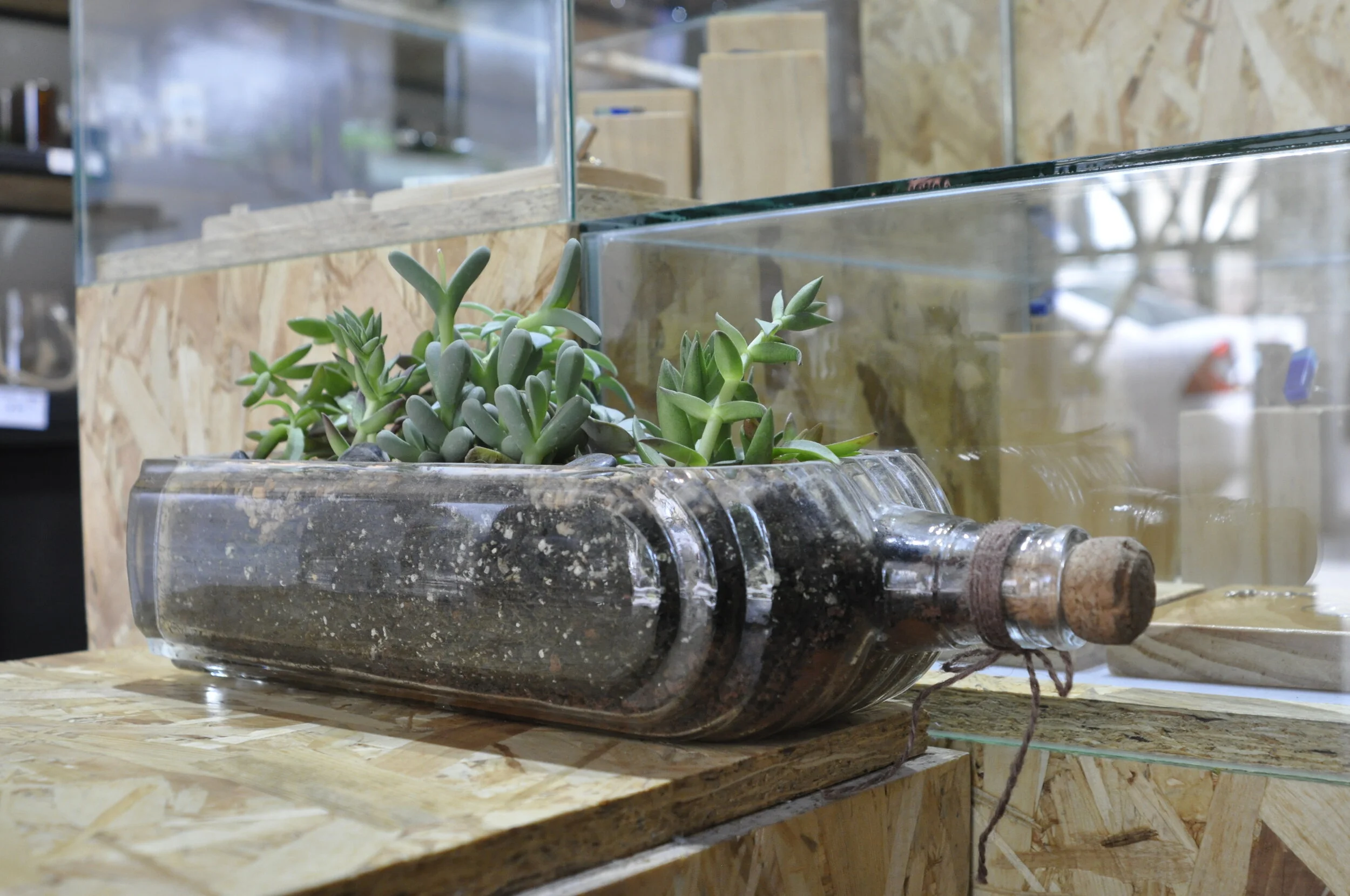 Cerrando el ciclo: transformando botellas de vidrio 