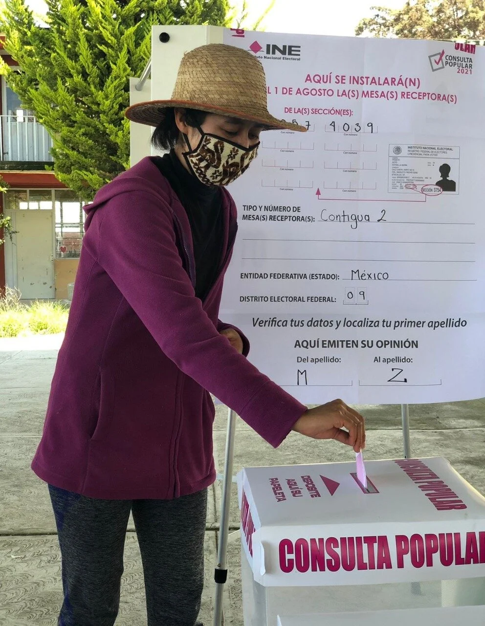 Así va la Consulta Popular