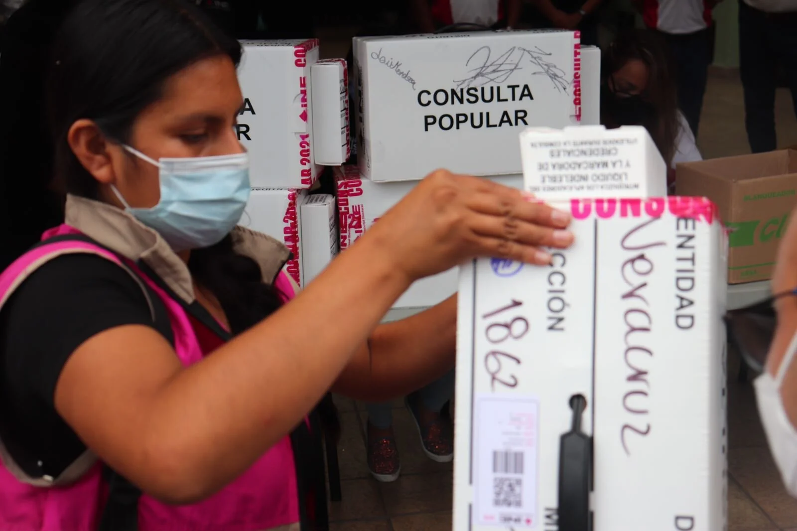 A la Consulta Popular le faltó recursos y claridad