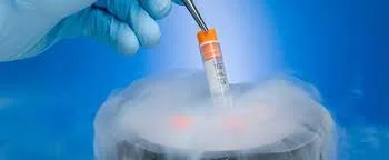 La criopreservación como opción para preservar la fertilidad femenina