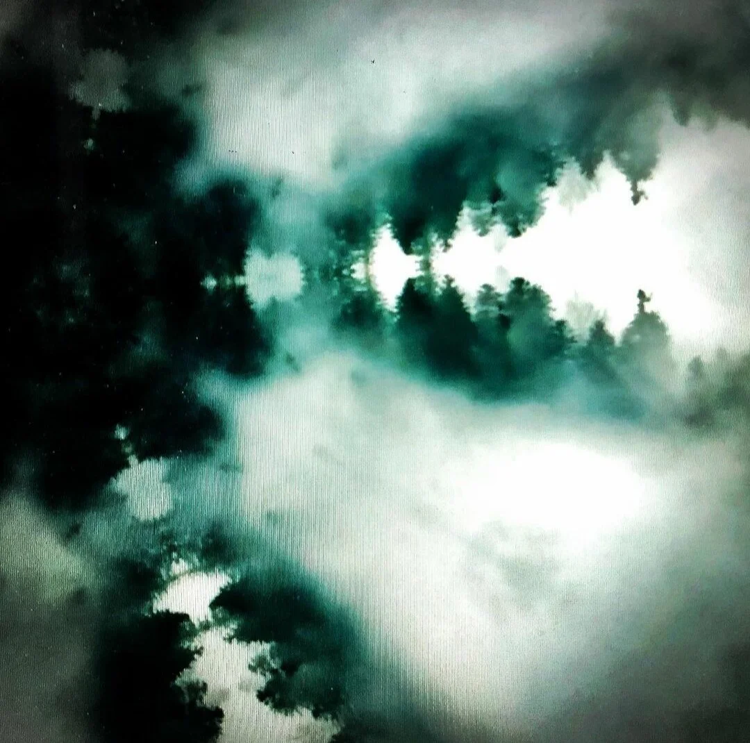 El bosque: experiencia inmersiva lumínica