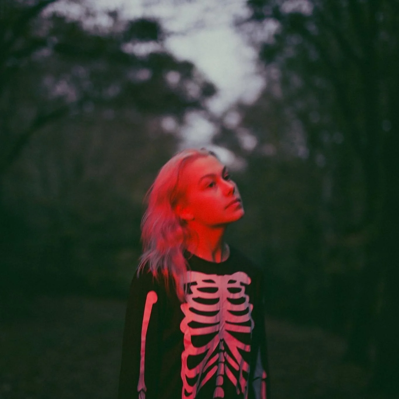 Fuente: Facebook Phoebe Bridgers