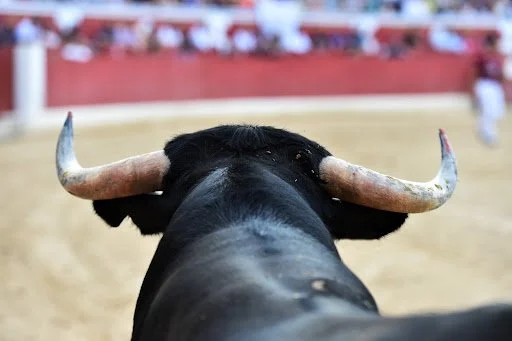 CDMX todavía lejos de la prohibición de corridas de toros