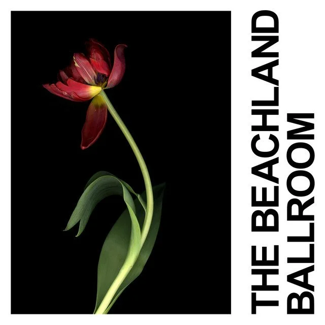 47. "The Beachland Ballroom"