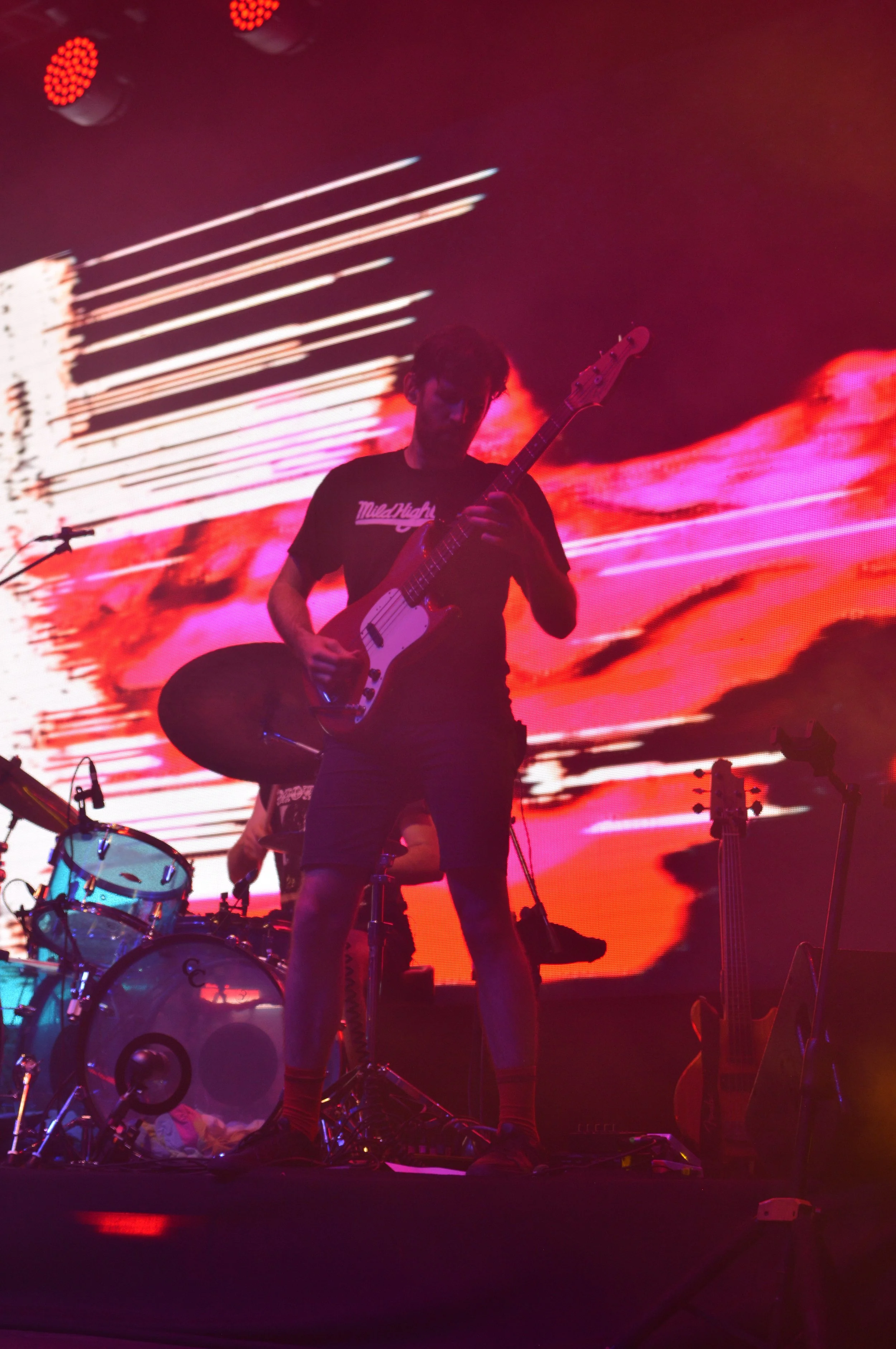 King Gizzard & the Lizard Wizard  2.JPG