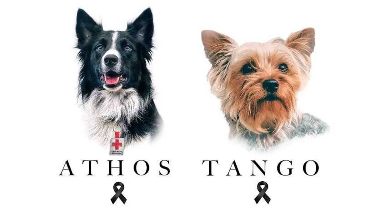 Histórica condena en la búsqueda de justicia para Athos y Tango