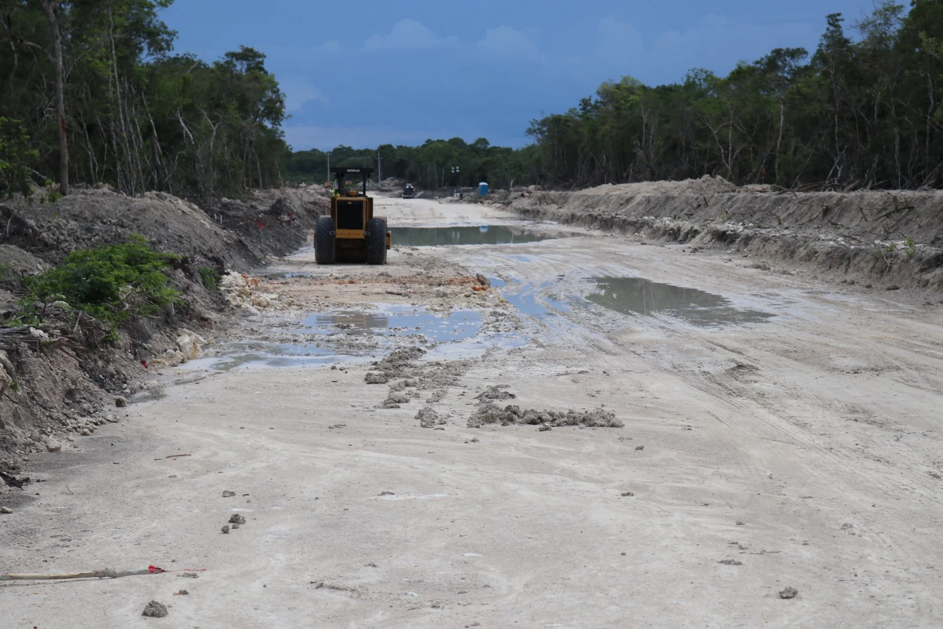 El tren y el hotel que prometen prosperidad mientras terminan con la selva