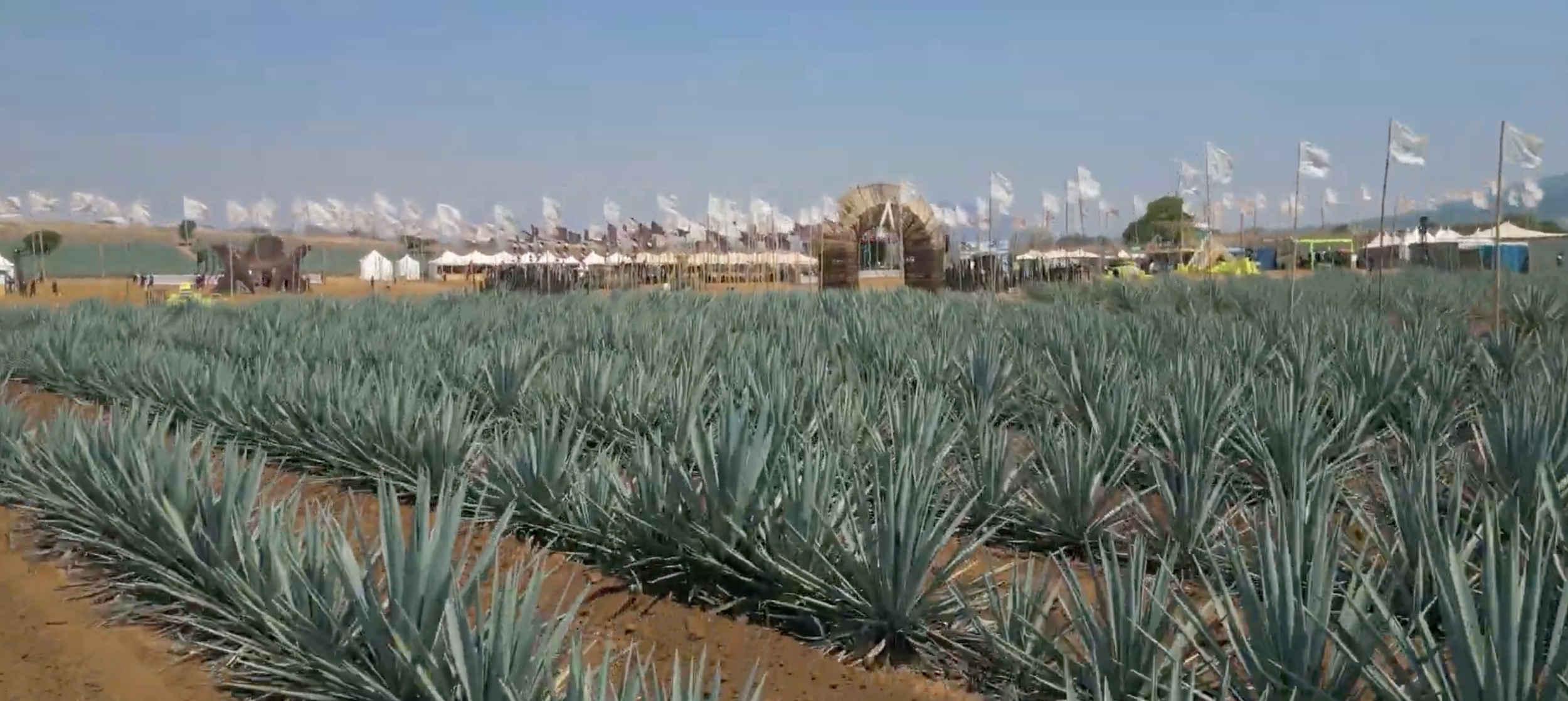 Akamba 2025: experiencia única entre tanto festival