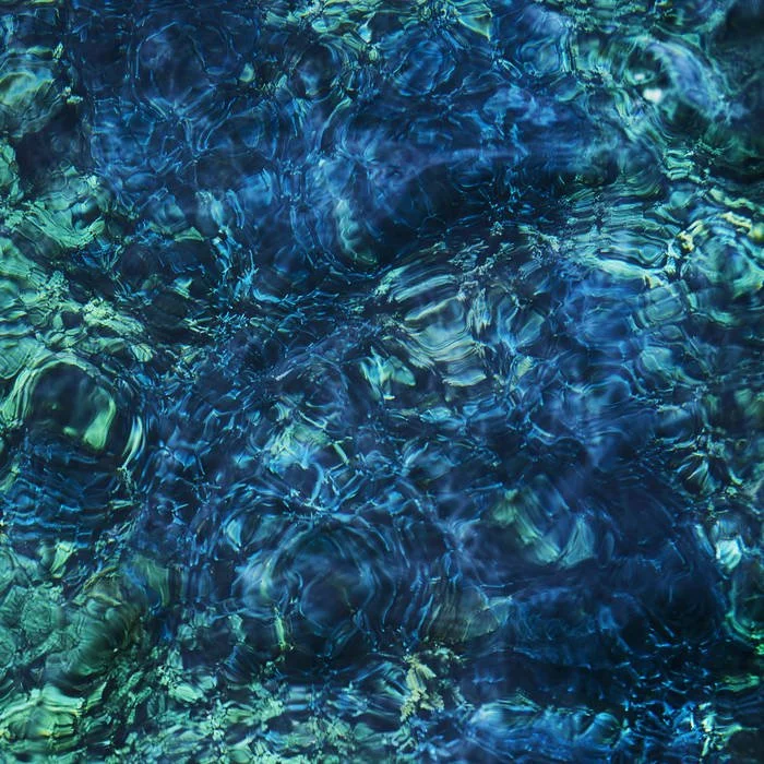 Portad del disco Luminescent Creatures de Ichiko Aoba.